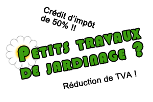 Petits travaux de jardin défiscalisation